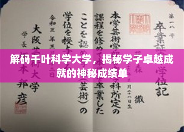 千叶科学大学学子风采，探寻卓越成就背后的秘密档案