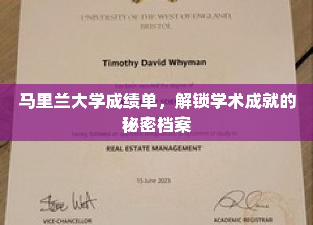 马里兰大学成就揭秘，成绩单背后的学术传奇故事