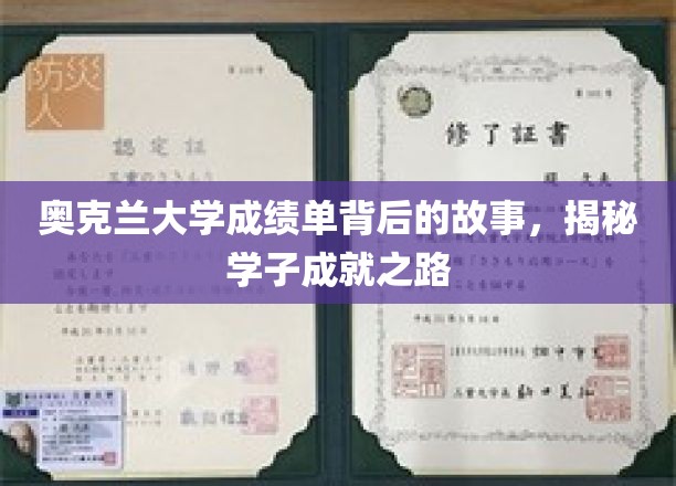 解码奥克兰大学成绩单，学子背后的奋斗轨迹