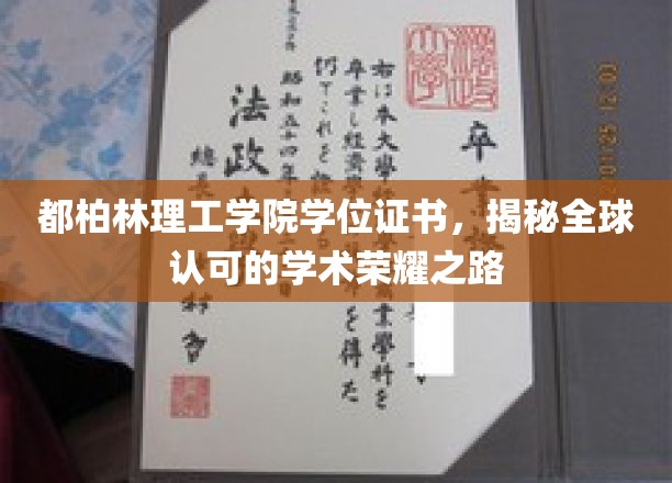 都柏林理工学院学位证书，揭秘全球认可的学术荣耀之路