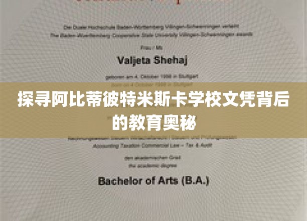 解码阿比蒂彼特米斯卡学校，文凭背后的独特教育智慧
