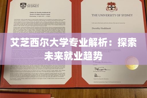 艾芝西尔大学专业解析：探索未来就业趋势