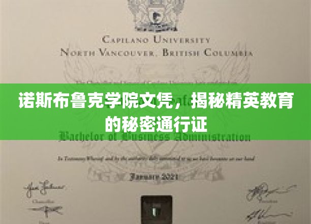 诺斯布鲁克学院文凭，揭秘精英教育的秘密通行证