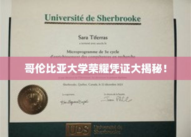 哥伦比亚大学独家荣耀证书背后的故事揭晓