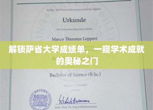探索萨省大学成绩单，揭秘学术辉煌的神秘钥匙