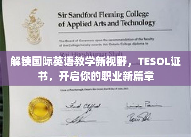 跨越语言界限，TESOL证书引领英语教育新航程