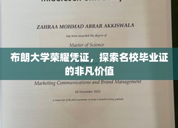 布朗大学毕业证背后的荣耀密码，揭秘名校证书的独特魅力