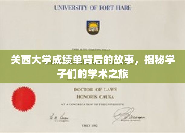 探寻关西学子足迹，一纸成绩单背后的学术传奇