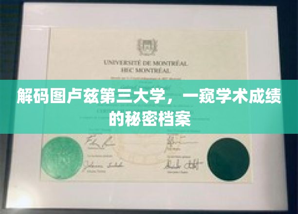 揭秘图卢兹第三大学，揭开卓越学术成绩的神秘面纱