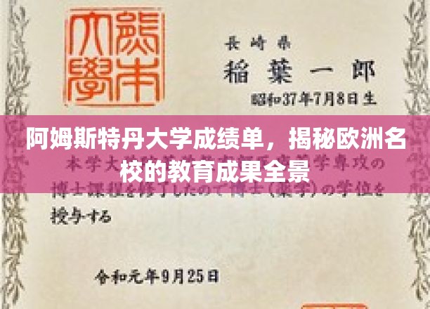 阿姆斯特丹大学成绩单，全景展现欧洲名校的教育成果