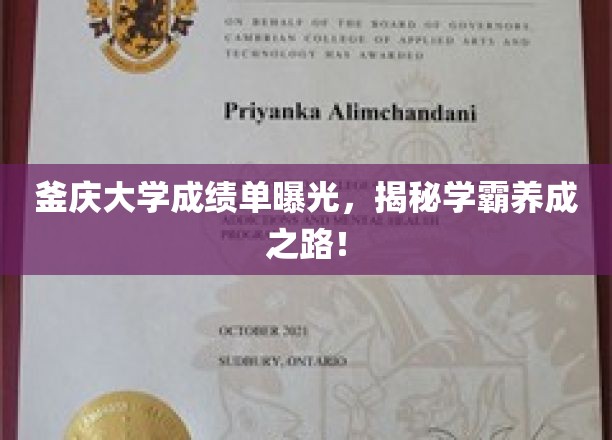 釜山外国语大学成绩单曝光，揭秘学霸成长之路！