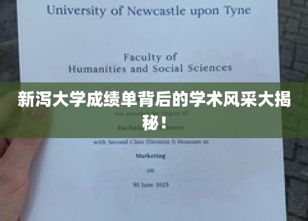 新泻大学成绩单背后的学术风采大揭秘！