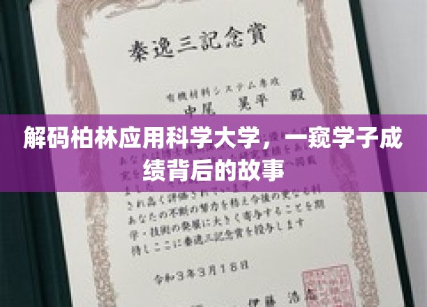 解码柏林应用科学大学，一窥学子成绩背后的故事
