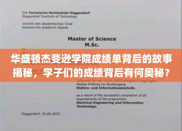 揭开华盛顿杰斐逊学院成绩单的神秘面纱，学子卓越背后的惊人真相