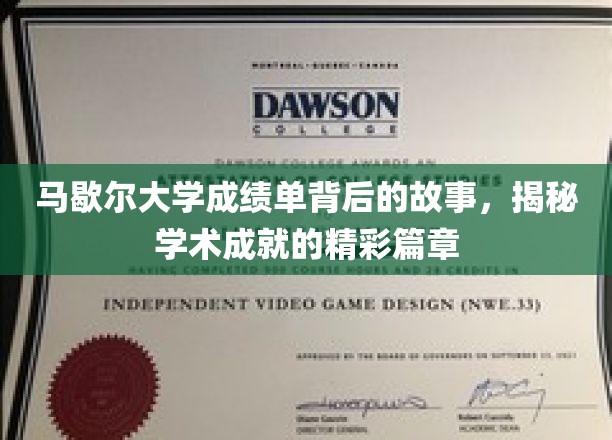 马歇尔大学成绩单背后，探寻学术辉煌的秘密历程