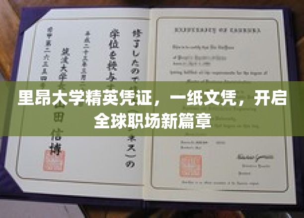 里昂精英通行证，一纸文凭，横扫全球职场舞台