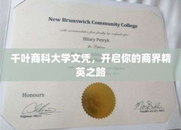千叶商科大学文凭，铺就您的商界精英之路