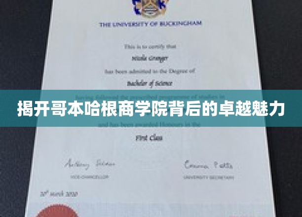 揭开哥本哈根商学院背后的卓越魅力