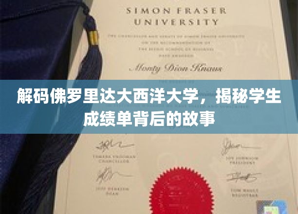 揭开佛罗里达大西洋大学成绩单的神秘面纱