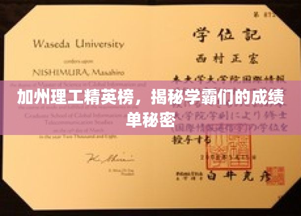 加州学霸风云录，揭秘理工精英的成绩密码