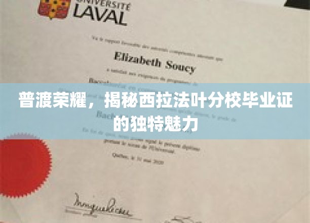 探寻西拉法叶分校毕业证背后的荣耀印记