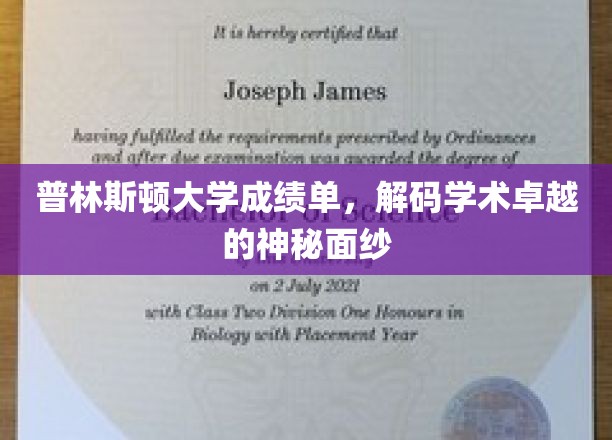 普林斯顿大学成绩单，揭开学术精英背后的神秘密码