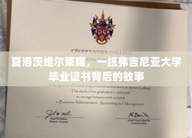 弗吉尼亚荣耀之路，揭秘一纸毕业证书背后的传奇故事