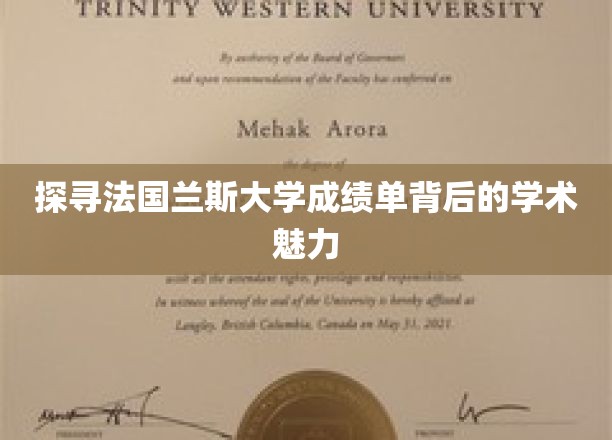 探寻法国兰斯大学成绩单背后的学术魅力