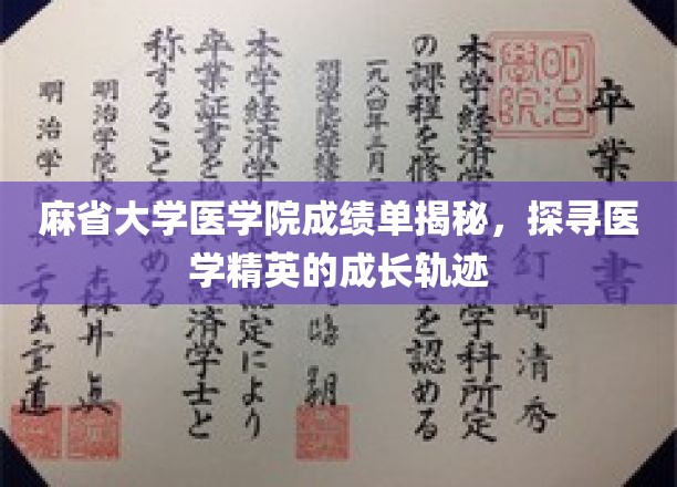 解码麻省医学院精英之路，揭秘医学尖兵的成长密码