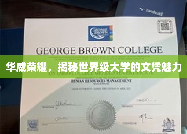 探寻华威奇迹，世界级大学的文凭魅力揭秘之旅