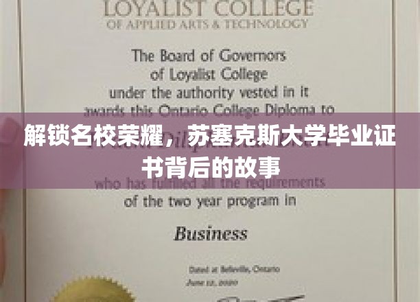 解锁名校荣耀，苏塞克斯大学毕业证书背后的故事