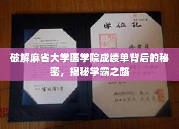 揭秘麻省大学医学院成绩单：探寻学霸背后的奥秘