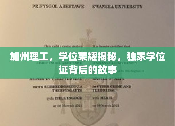 加州理工，学位荣耀揭秘，独家学位证背后的故事