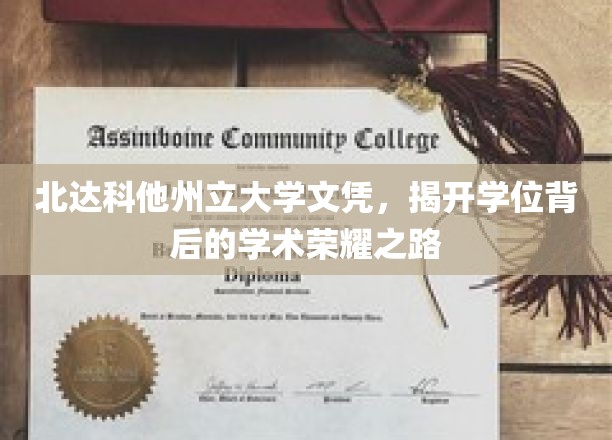 探索北达科他州立大学学位荣耀，成就背后的学术征途