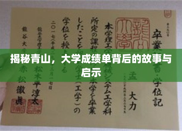 揭秘青山，大学成绩单背后的故事与启示