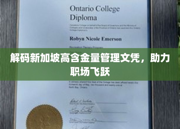 新加坡管理文凭金钥匙，开启职场新境界