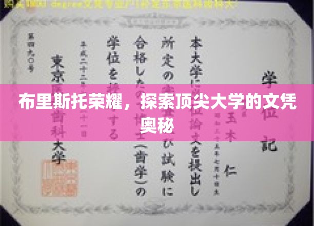 解码布里斯托荣耀，顶尖大学文凭背后的神秘力量