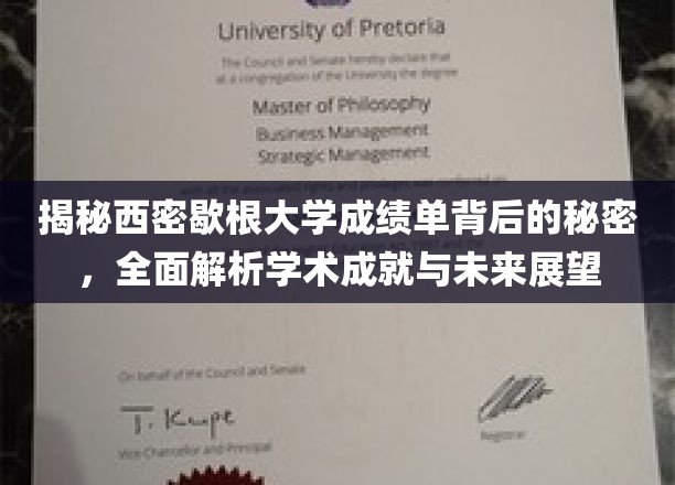 解码西密歇根大学成绩单，探寻学术成就与未来潜力之路