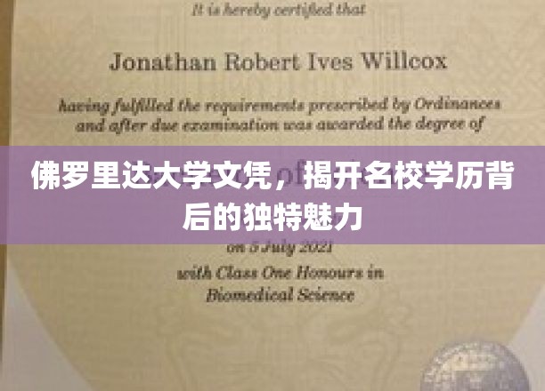 解码佛罗里达大学，探寻顶尖名校背后的璀璨光环
