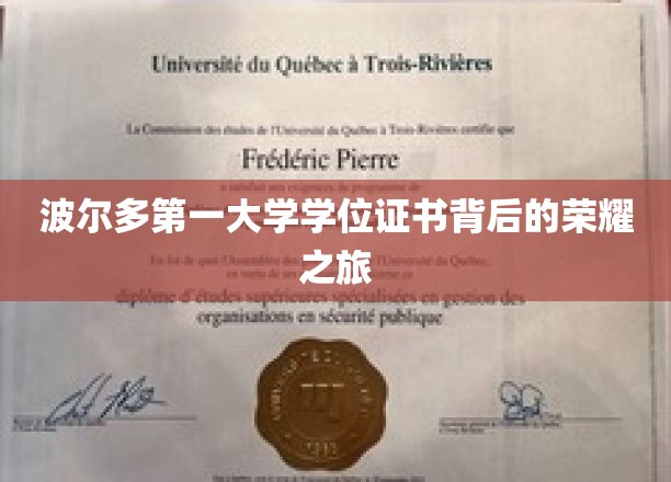 波尔多第一大学学位证书，揭秘荣耀背后的学术征程