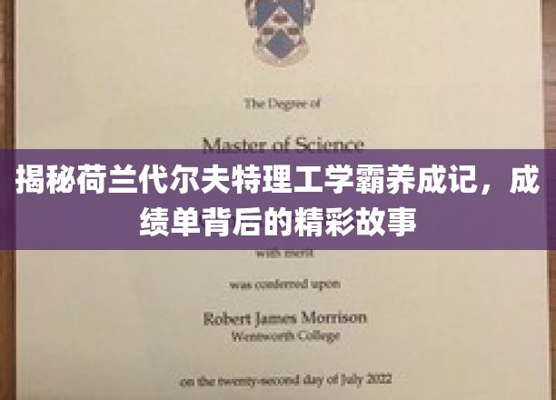 揭秘荷兰代尔夫特理工学霸养成记，成绩单背后的精彩故事