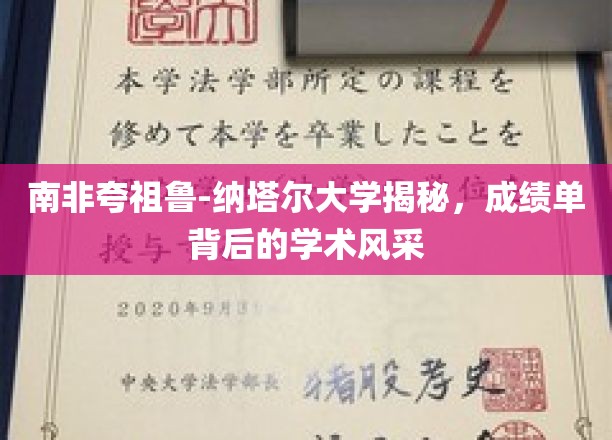 南非夸祖鲁-纳塔尔大学揭秘，成绩单下的学术魅力与风采展露