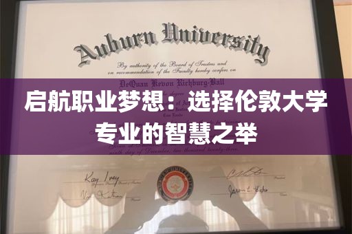 启航职业梦想：选择伦敦大学专业的智慧之举