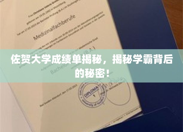 佐贺学霸养成记，揭秘大学成绩单背后的秘密力量