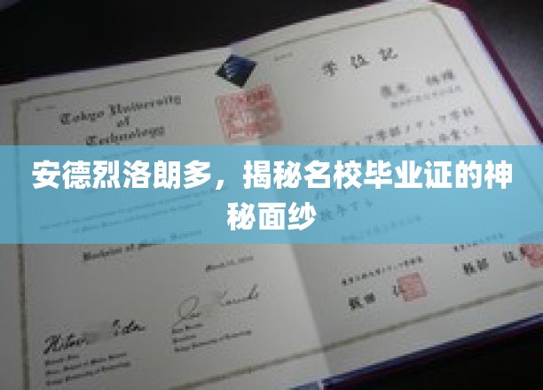 揭开名校毕业证的传奇光环，安德烈洛朗多的深度解读