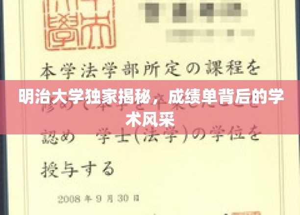 明治大学揭秘，成绩单中的学术魅力全景展