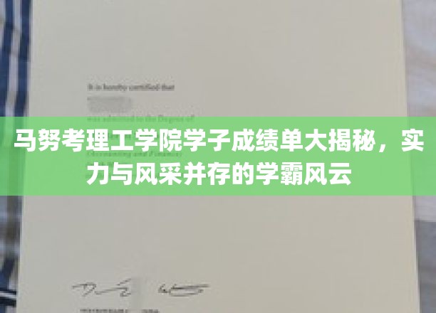 马努考理工学院学霸风云录，成绩单背后，实力与风采齐飞