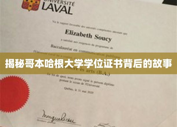 哥本哈根大学学位证书，探寻背后的传奇与奥秘