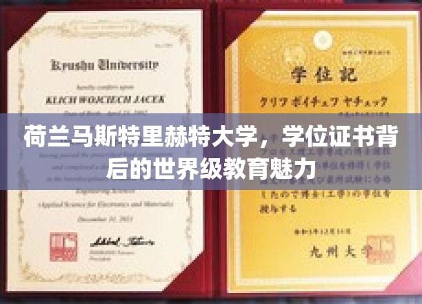 揭开荷兰马斯特里赫特大学学位证书背后的璀璨教育风采