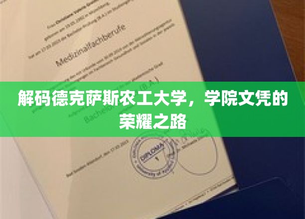 解码德克萨斯农工大学，学院文凭的荣耀之路